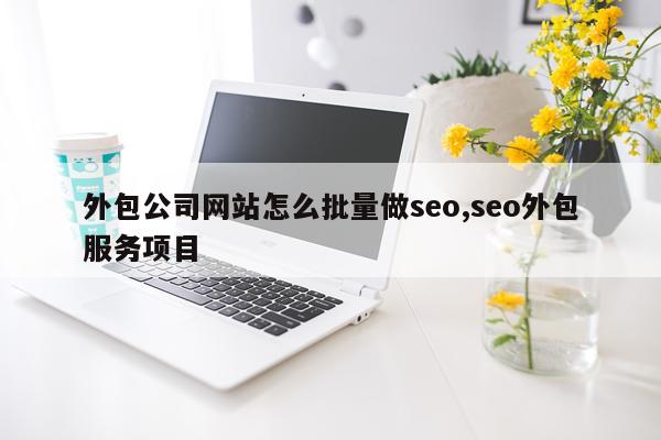外包公司网站怎么批量做seo,seo外包服务项目