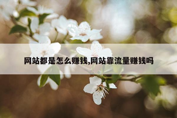 网站都是怎么赚钱,网站靠流量赚钱吗