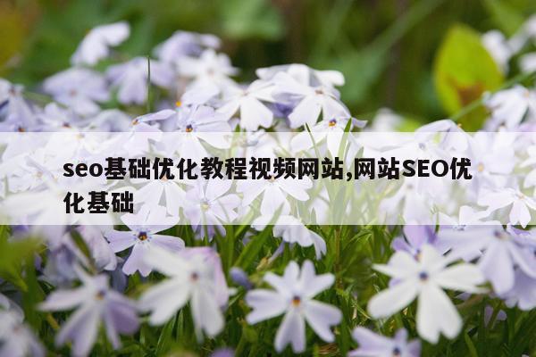 seo基础优化教程视频网站,网站SEO优化基础