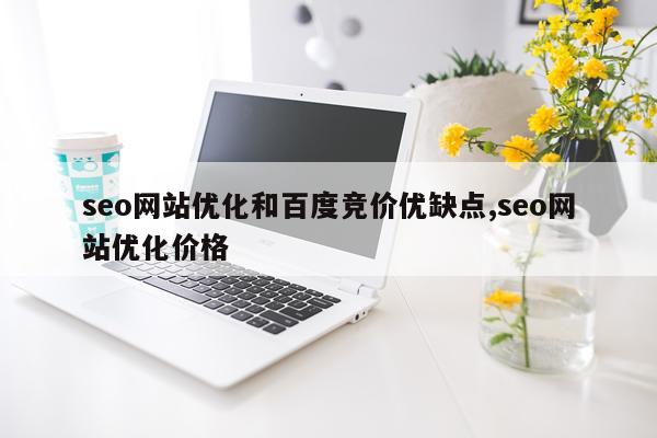seo网站优化和百度竞价优缺点,seo网站优化价格
