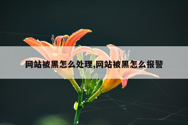 网站被黑怎么处理,网站被黑怎么报警
