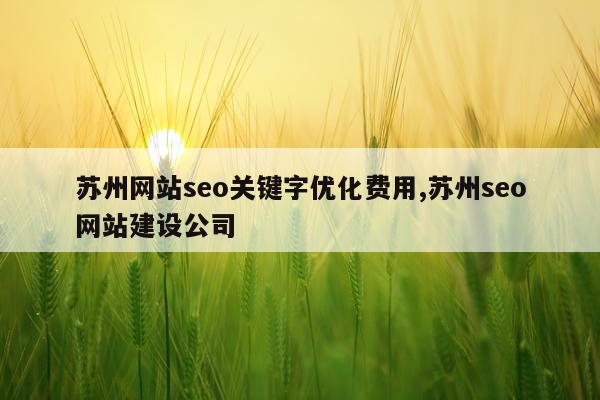 苏州网站seo关键字优化费用,苏州seo网站建设公司
