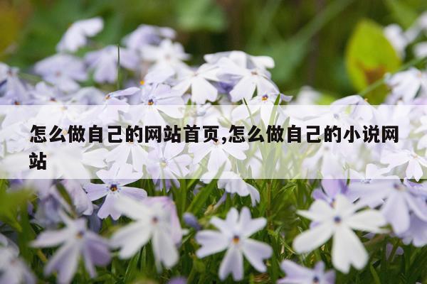 怎么做自己的网站首页,怎么做自己的小说网站