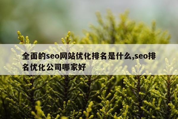 全面的seo网站优化排名是什么,seo排名优化公司哪家好