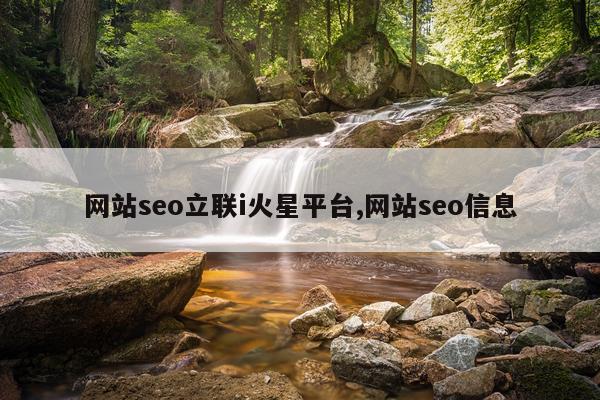 网站seo立联i火星平台,网站seo信息