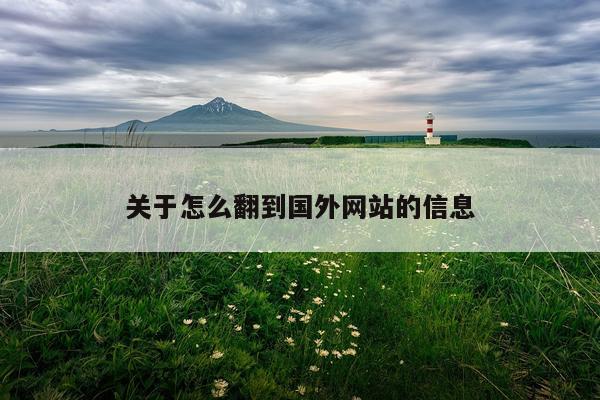关于怎么翻到国外网站的信息