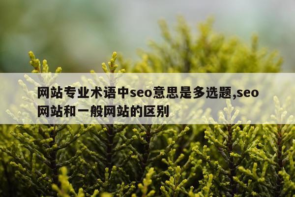 网站专业术语中seo意思是多选题,seo网站和一般网站的区别