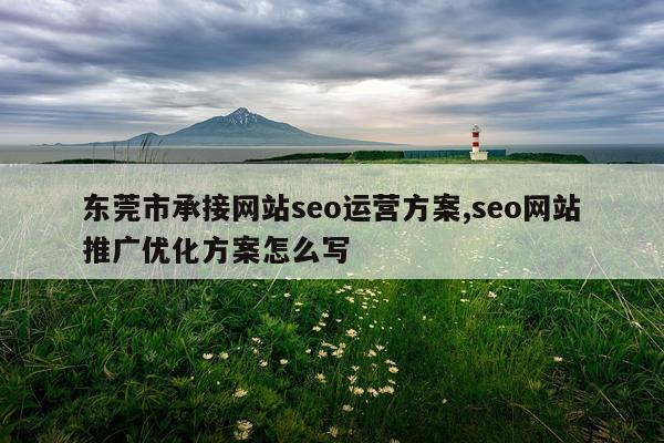 东莞市承接网站seo运营方案,seo网站推广优化方案怎么写