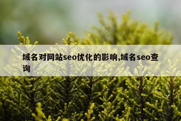域名对网站seo优化的影响,域名seo查询