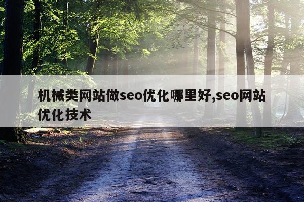 机械类网站做seo优化哪里好,seo网站优化技术