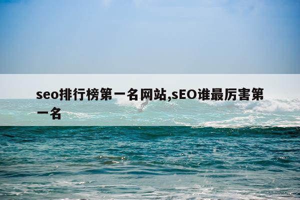 seo排行榜第一名网站,sEO谁最厉害第一名