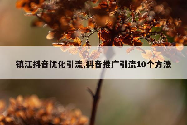 镇江抖音优化引流,抖音推广引流10个方法