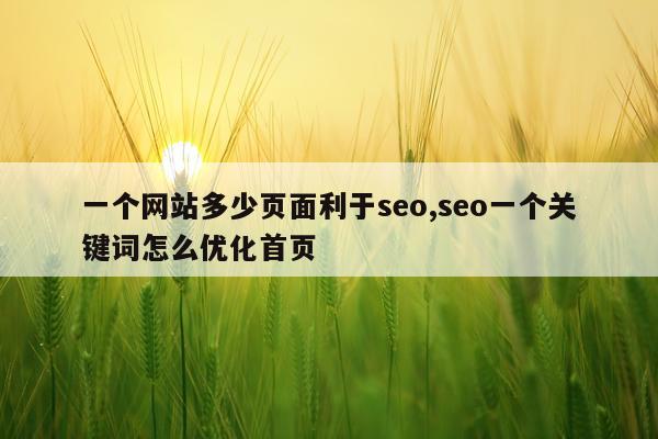 一个网站多少页面利于seo,seo一个关键词怎么优化首页