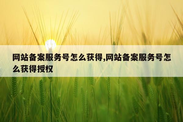 网站备案服务号怎么获得,网站备案服务号怎么获得授权