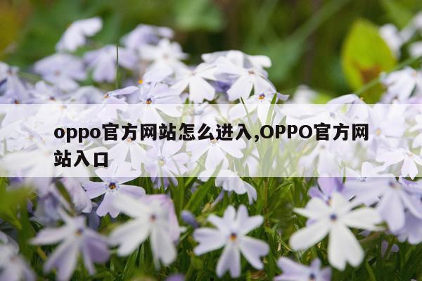 oppo官方网站怎么进入,OPPO官方网站入口
