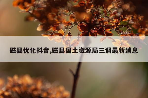 磁县优化抖音,磁县国土资源局三调最新消息