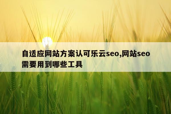 自适应网站方案认可乐云seo,网站seo需要用到哪些工具