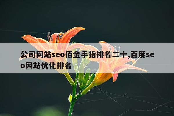 公司网站seo佰金手指排名二十,百度seo网站优化排名
