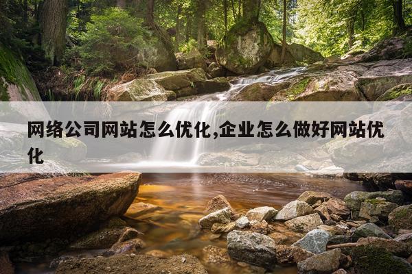 网络公司网站怎么优化,企业怎么做好网站优化