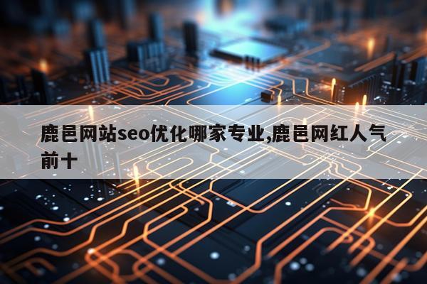 鹿邑网站seo优化哪家专业,鹿邑网红人气前十