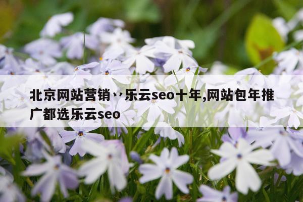 北京网站营销丷乐云seo十年,网站包年推广都选乐云seo