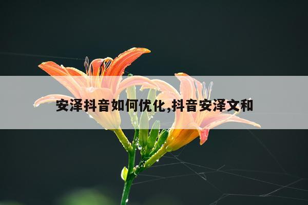 安泽抖音如何优化,抖音安泽文和