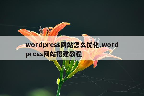 wordpress网站怎么优化,wordpress网站搭建教程