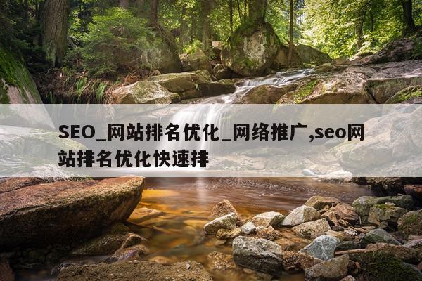 SEO_网站排名优化_网络推广,seo网站排名优化快速排