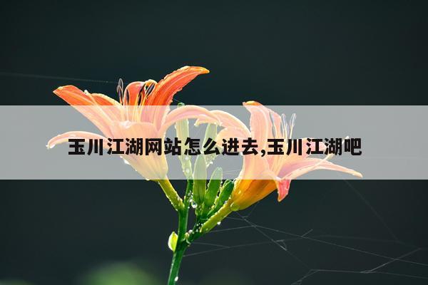 玉川江湖网站怎么进去,玉川江湖吧