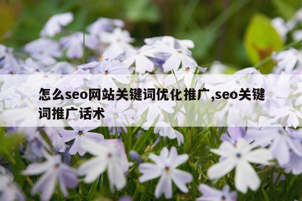 怎么seo网站关键词优化推广,seo关键词推广话术