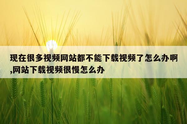 现在很多视频网站都不能下载视频了怎么办啊,网站下载视频很慢怎么办