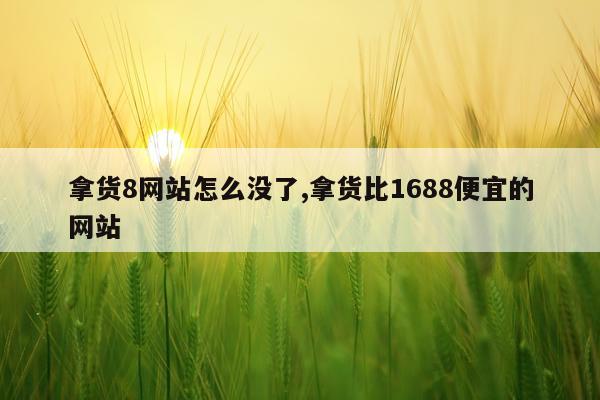 拿货8网站怎么没了,拿货比1688便宜的网站