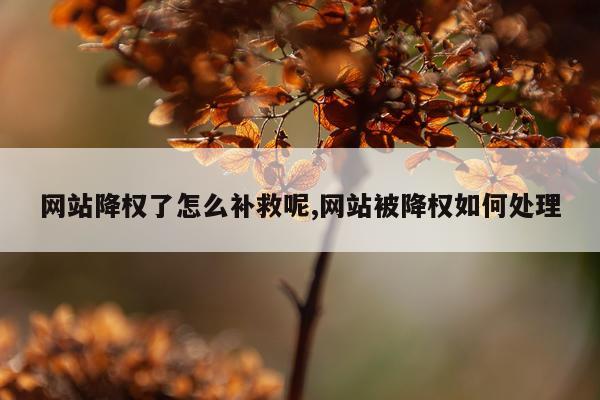 网站降权了怎么补救呢,网站被降权如何处理
