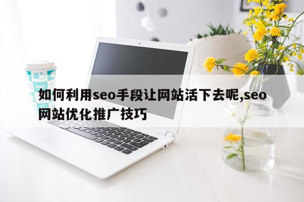 如何利用seo手段让网站活下去呢,seo网站优化推广技巧