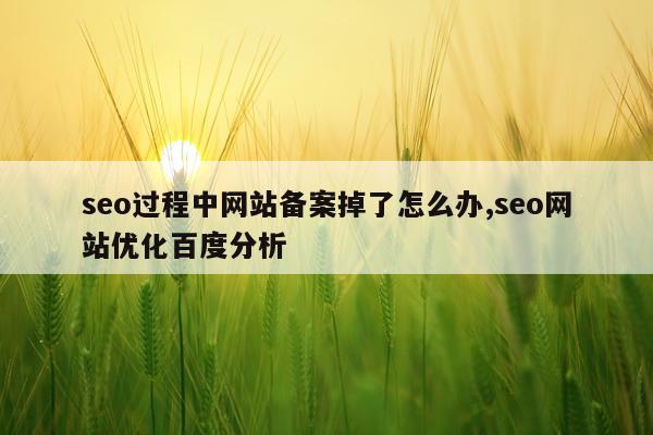 seo过程中网站备案掉了怎么办,seo网站优化百度分析