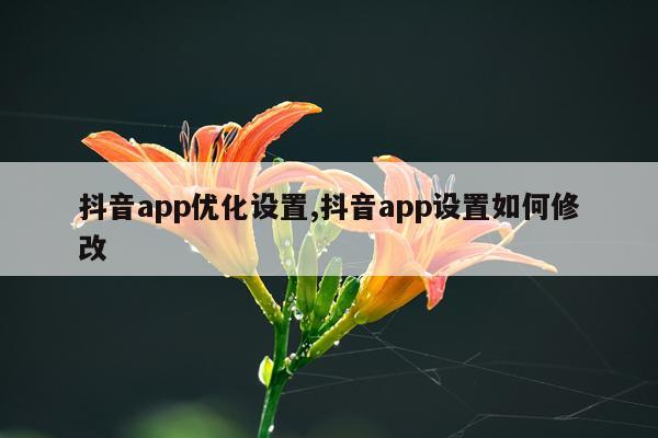 抖音app优化设置,抖音app设置如何修改