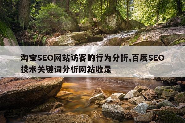 淘宝SEO网站访客的行为分析,百度SEO技术关键词分析网站收录