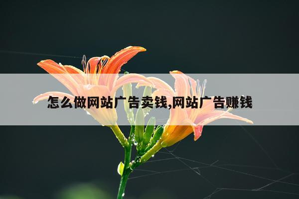 怎么做网站广告卖钱,网站广告赚钱