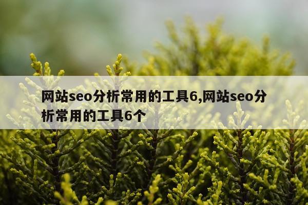 网站seo分析常用的工具6,网站seo分析常用的工具6个