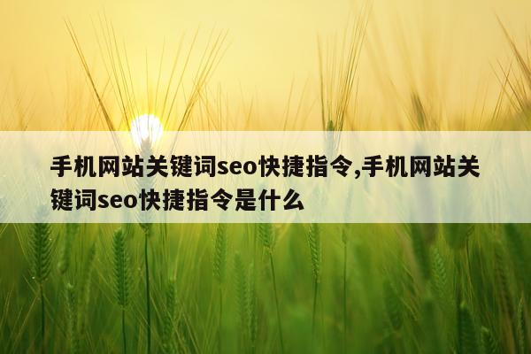 手机网站关键词seo快捷指令,手机网站关键词seo快捷指令是什么