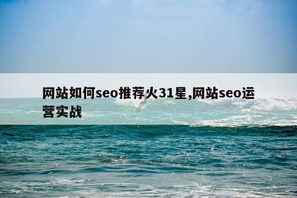 网站如何seo推荐火31星,网站seo运营实战