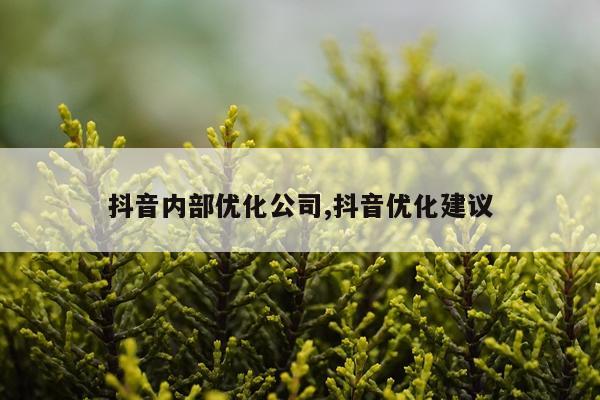 抖音内部优化公司,抖音优化建议