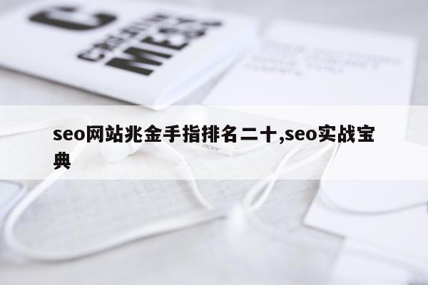 seo网站兆金手指排名二十,seo实战宝典