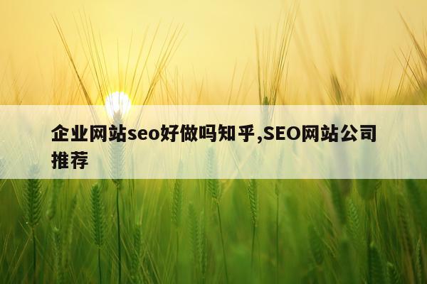 企业网站seo好做吗知乎,SEO网站公司推荐