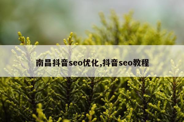 南昌抖音seo优化,抖音seo教程