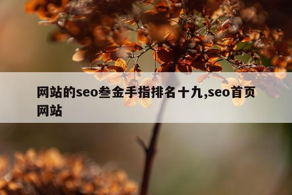 网站的seo叁金手指排名十九,seo首页网站