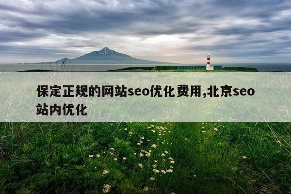 保定正规的网站seo优化费用,北京seo站内优化
