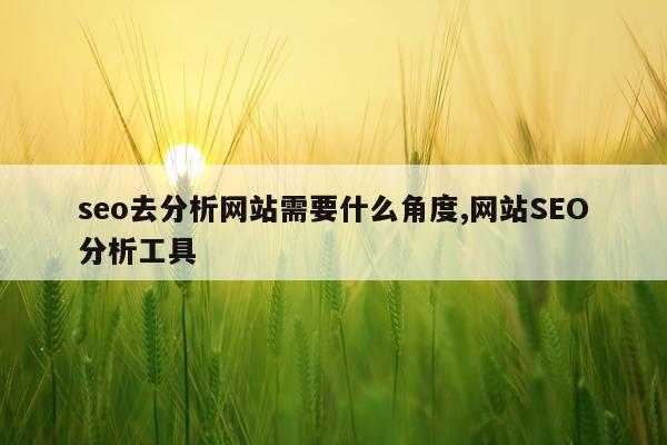 seo去分析网站需要什么角度,网站SEO分析工具
