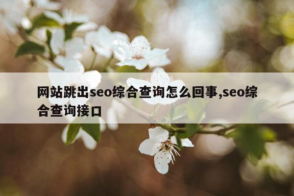 网站跳出seo综合查询怎么回事,seo综合查询接口