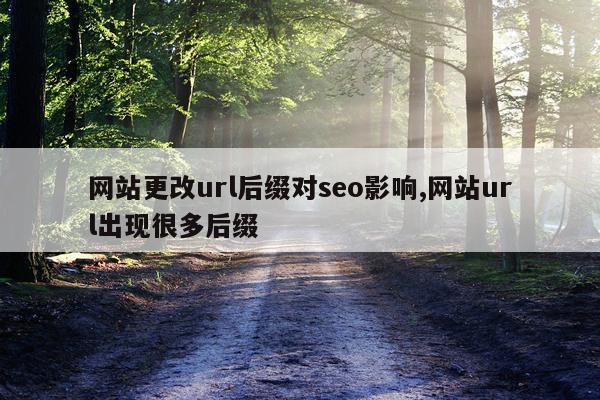 网站更改url后缀对seo影响,网站url出现很多后缀